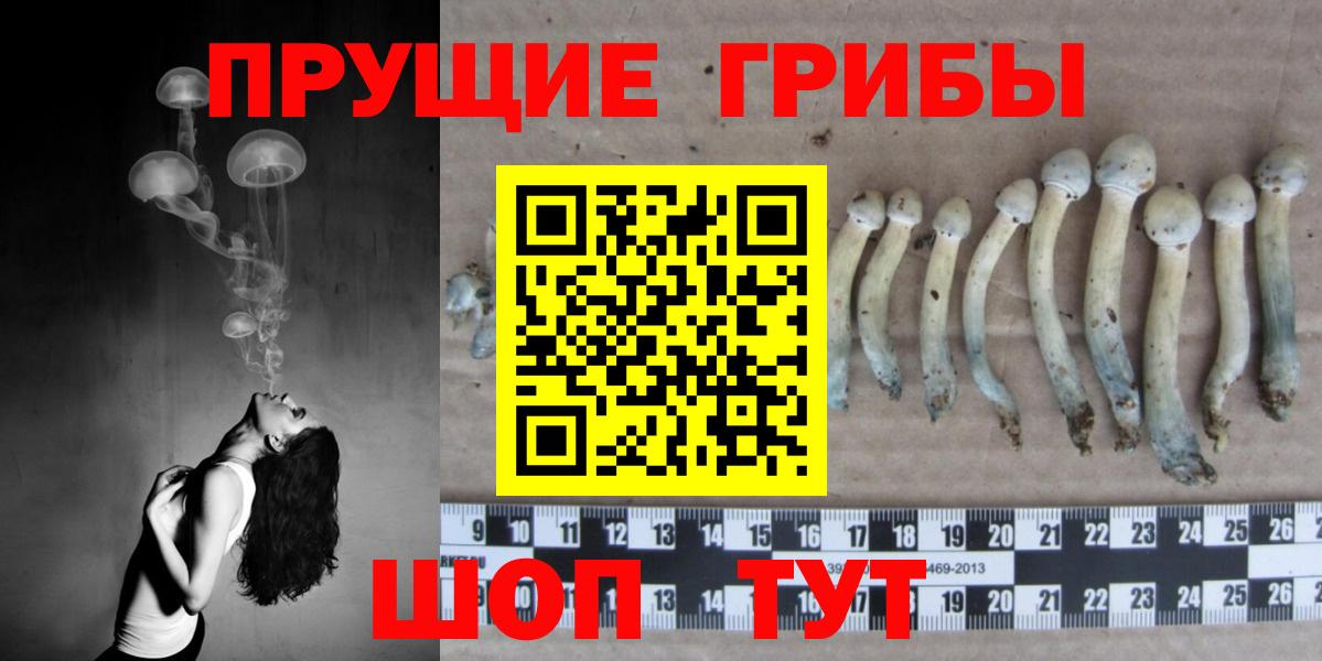Котельники  Галлюциногенные грибы GOLDEN TEACHER  Вход с VPN 