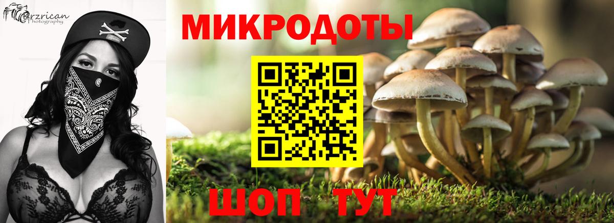 Псилоцибиновые грибы мицелий Котельники